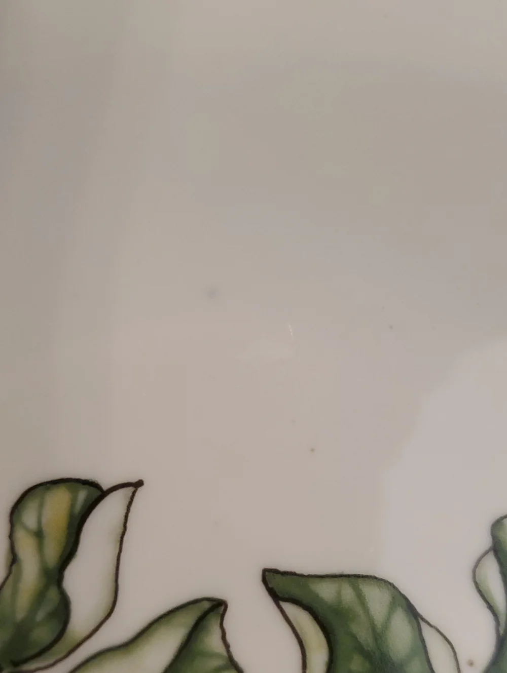 BIA Cordon Bleu Veggie Scalloped Porcelain Soup Dish Pea Pods